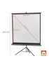 Artikelbild 2 des Artikels “celexon Stativleinwand Economy 133 x 133 cm – Mobile Leinwand für Schule & Bildung “