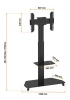 Artikelbild 5 des Artikels “celexon Economy Display Rollwagen – mobil & höhenverstellbar “