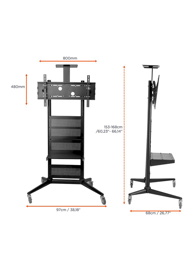 Artikelbild 2 des Artikels “celexon Adjust-3270M Display-Rollwagen – Höhenverstellbar & mobil für Schulen “