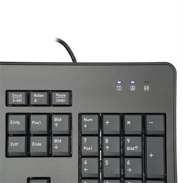 Artikelbild 3 des Artikels “TERRA Keyboard 1500 – Ergonomische USB-Tastatur mit Copilot “